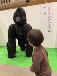 CAMPiii（キャンピー） 影井ゴリラ