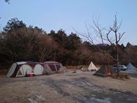 CAMPiii（キャンピー） 210