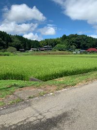 CAMPiii（キャンピー） よっしー