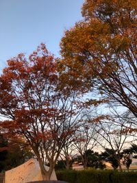 CAMPiii（キャンピー） rererereere