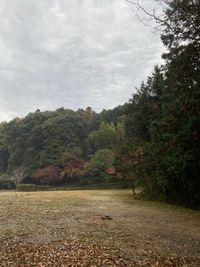 CAMPiii（キャンピー） AKI 