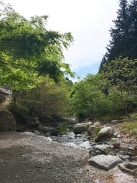 CAMPiii（キャンピー） ヒロキャンプ