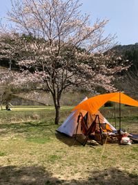 CAMPiii（キャンピー） 西尾幸泰
