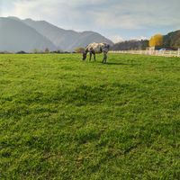 CAMPiii（キャンピー） かざろっし