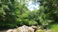 CAMPiii（キャンピー） kaitokun