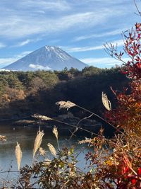 CAMPiii(キャンピー) Oniyome