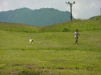 CAMPiii（キャンピー） ソラ