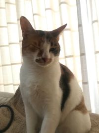 CAMPiii（キャンピー） アッツ