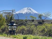 CAMPiii（キャンピー） レンコン