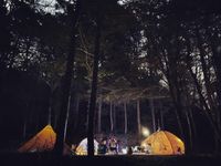 CAMPiii（キャンピー） はってぃー
