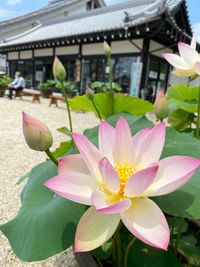 CAMPiii（キャンピー） つじさん