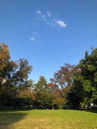 CAMPiii（キャンピー） たけ