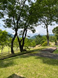 CAMPiii（キャンピー） 田島健一
