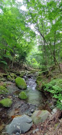 CAMPiii（キャンピー） EISHI