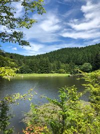 CAMPiii（キャンピー） でんたろう
