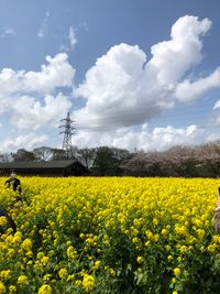 CAMPiii（キャンピー） KRK_Japan