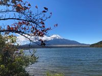 CAMPiii（キャンピー） せつこ