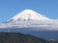 CAMPiii（キャンピー） ヨシノ？