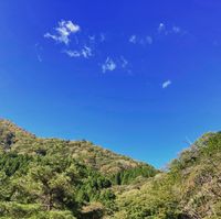 CAMPiii（キャンピー） 山の熊五郎
