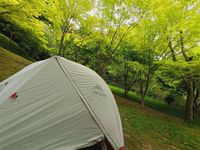 CAMPiii（キャンピー） Naoki