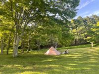 CAMPiii（キャンピー） こねぎ