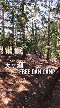 CAMPiii（キャンピー） Yuki