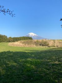 CAMPiii（キャンピー） TAKO八郎