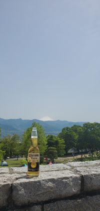 CAMPiii（キャンピー） まめこ