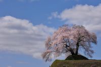 CAMPiii（キャンピー） 阿部   哲也