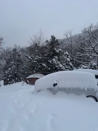 CAMPiii（キャンピー） Oniyome