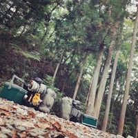 CAMPiii（キャンピー） ともよし