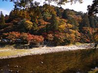 CAMPiii（キャンピー） せい