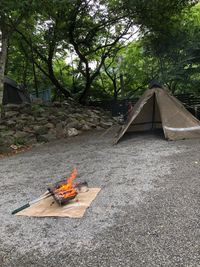 CAMPiii（キャンピー） たなちん