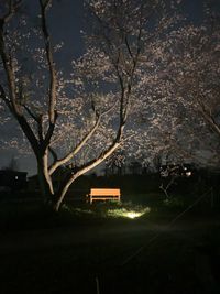 CAMPiii（キャンピー） 日沖　雄一
