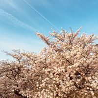 CAMPiii（キャンピー） イシカワ