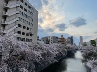 CAMPiii（キャンピー） きたざわ