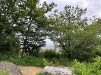 CAMPiii（キャンピー） りく