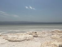 CAMPiii(キャンピー) だいコロッケ