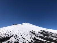 CAMPiii（キャンピー） ひこ