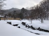 CAMPiii（キャンピー） Hiromasa
