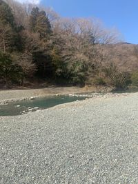 CAMPiii（キャンピー） ☆