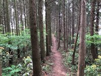 CAMPiii（キャンピー） 広島
