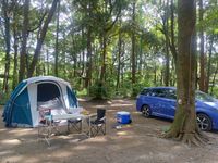 CAMPiii（キャンピー） ぽぽた
