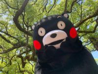 CAMPiii（キャンピー） ぽんたん。