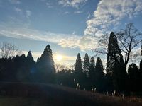 CAMPiii（キャンピー） キャンパー