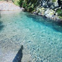 CAMPiii（キャンピー） ぽんた