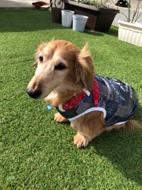 CAMPiii（キャンピー） おのせ