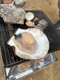 CAMPiii（キャンピー） さとし