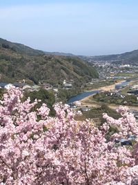 CAMPiii（キャンピー） しみやん