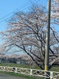 CAMPiii（キャンピー） まーつ